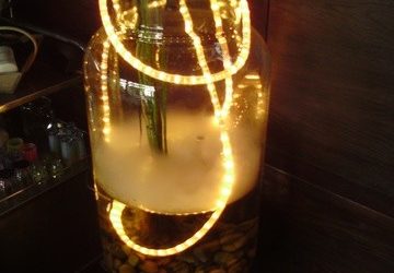 Vase géant ou aquarium et guirlande lumineuse