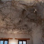 Plafond de magasin à Toulouse (31) - Saule tortueux doré et 100aines de plumes d'oie suspendues