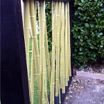 Paravent bambous laqués extérieur
