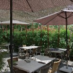 Terrasse restaurant, pare-soleil filet - Label Braise Ségoufielle (32)